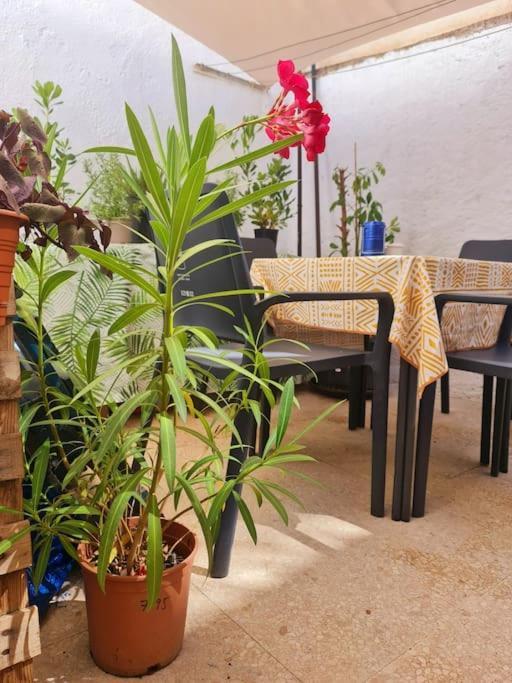 Estancia De Ensueno Y Relax Parking Gratuito Granada Kültér fotó